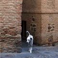 La Juder�a de Toledo